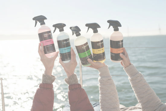 Seipel Marine 4 pack Premium Cleaners with towels